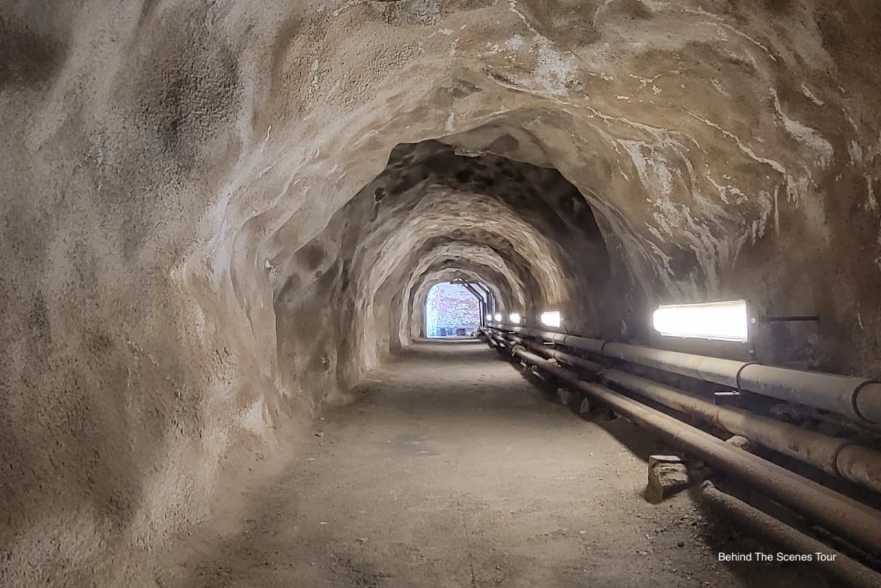 Official Alcatraz Island Admission Ticket + Audio Tour with Roundtrip Ferry by Alcatraz City Cruises - image 14