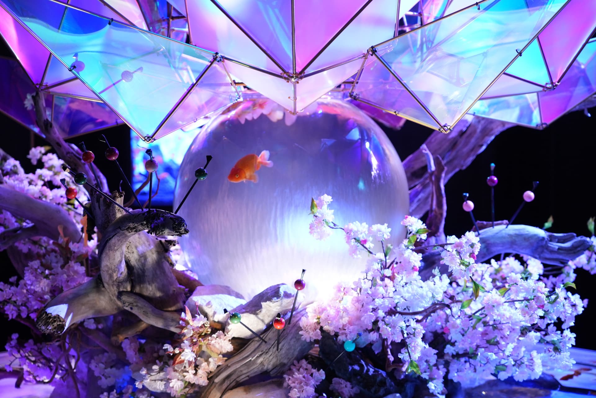 Nara Ikimono Museum Ticket - main image